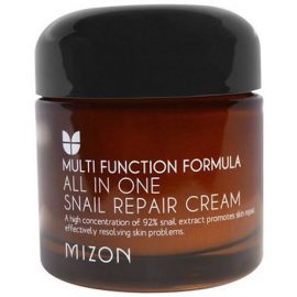 Mizon All In One Snail Repair Cream