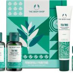 the body shop set